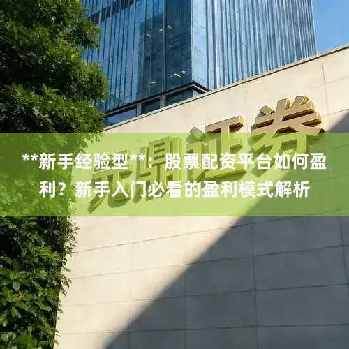 **新手经验型**：股票配资平台如何盈利？新手入门必看的盈利模式解析