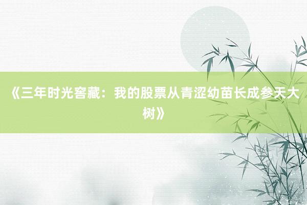 《三年时光窖藏：我的股票从青涩幼苗长成参天大树》