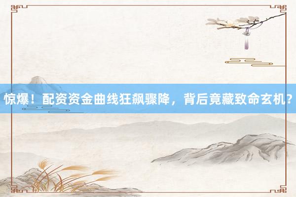 惊爆！配资资金曲线狂飙骤降，背后竟藏致命玄机？