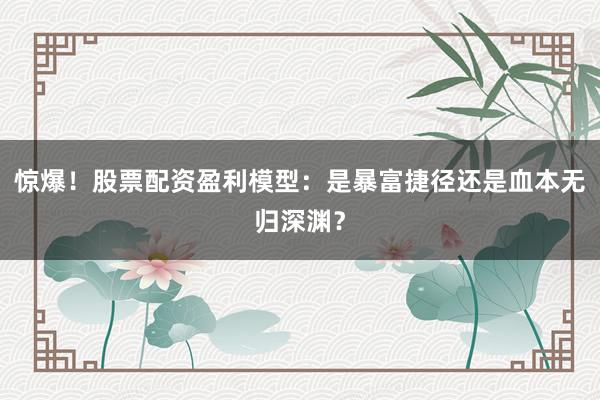 惊爆！股票配资盈利模型：是暴富捷径还是血本无归深渊？