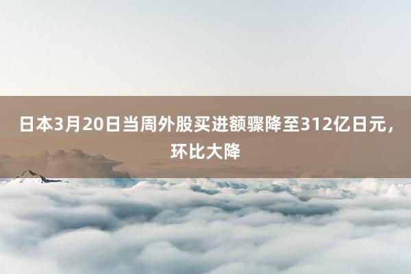 日本3月20日当周外股买进额骤降至312亿日元，环比大降